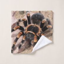 Aranha Vermelha Mexicana Tarantula