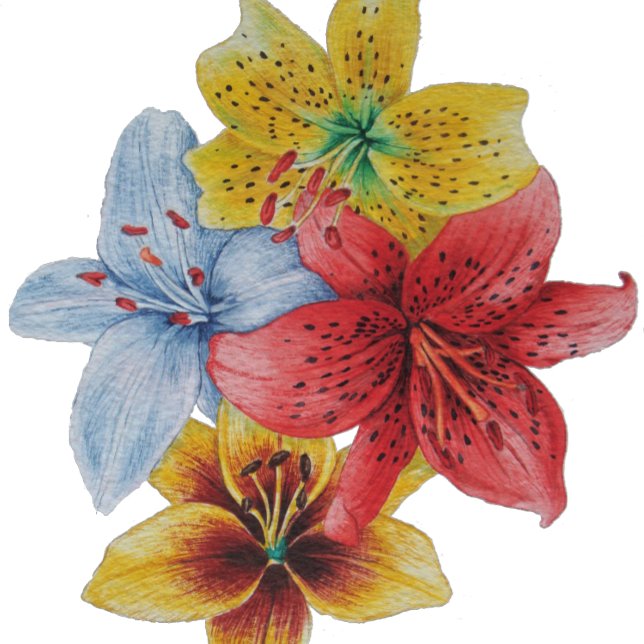 Toalha De Rosto flores grandes e arrojadas únicas e coloridas flor (Criador carregado)