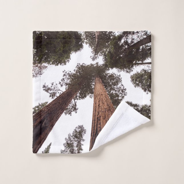 Toalha De Rosto floresta, árvore (Pano de lavar)
