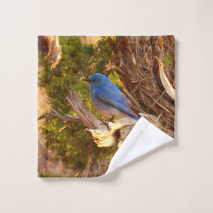 Toalha De Rosto Mountain Bluebird no Parque Nacional de Arches
