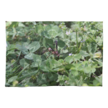 Toalha de Vespas
