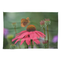 Borboleta no Coneflower