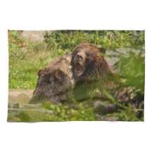 Luta do jogo dos ursos de urso