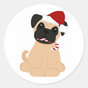 Toby as etiquetas redondas do Pug