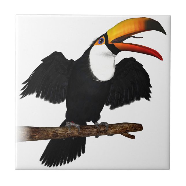 Toco Toucan (Frente)