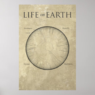 Toda a vida na Terra, mapeada num poster gigante