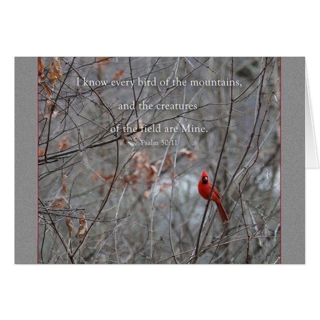 Toda ave da montanha Parakaleo cartão postal (Frente horizontal)