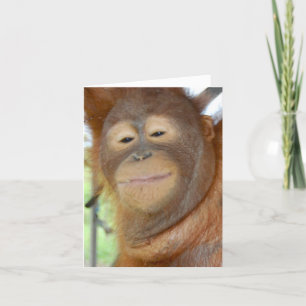 Todas as Ocasiões - crie o seu próprio cartão de s