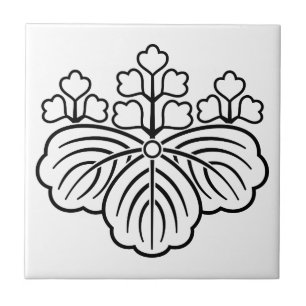 Todas as paulownia sombreadas com 5 e 3 florescênc