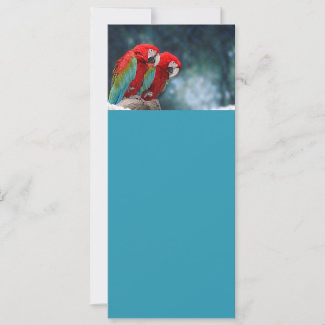 Todas as Peças Coloridas Ocasionadas (Frente)