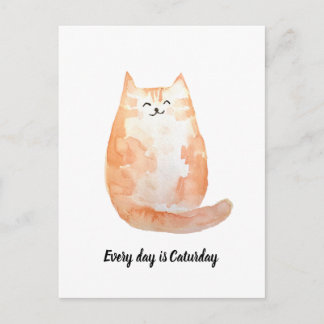"Todo dia é Caturday" Cartão postal