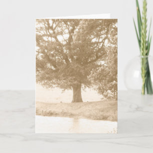 Todo o cartão da ocasião