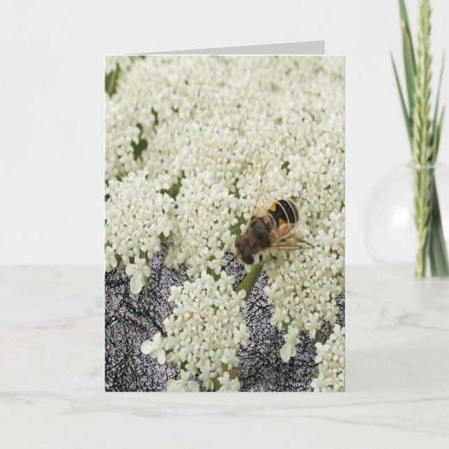 Todo o cartão do couro do preto do laço da rainha (Frente)