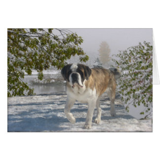 Todo o cartão gretting da ocasião