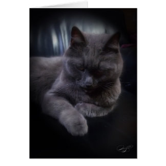 Todo o cartão (vazio) das ocasiões