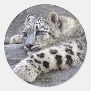 Todos jogaram para fora a etiqueta