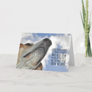 TODOS OS CÃES VÃO PARA O Cartão de Saudação CÉU