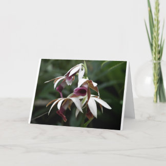 Todos os cartões de boas-vindas com uma flor bonit