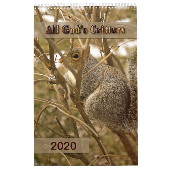 Todos os Critérios de Deus - Calendário (Capa)