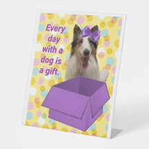 Todos os dias com um cão são um presente