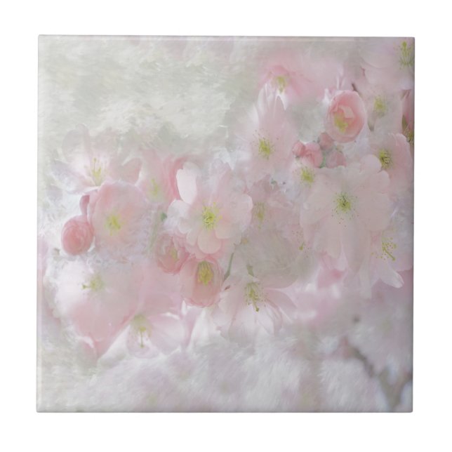 Todos os Sonhos em Rosa (Frente)