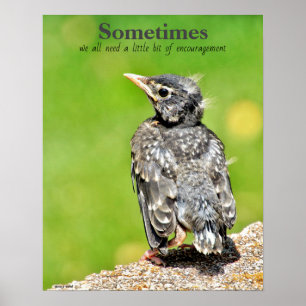 Todos Precisamos de Poster de sala de aula de enco