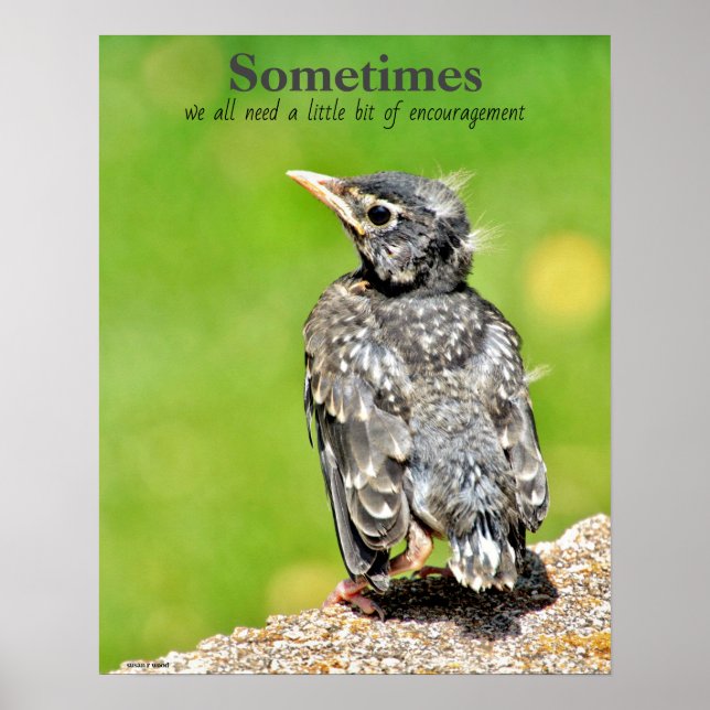 Todos Precisamos de Poster de sala de aula de enco (Frente)