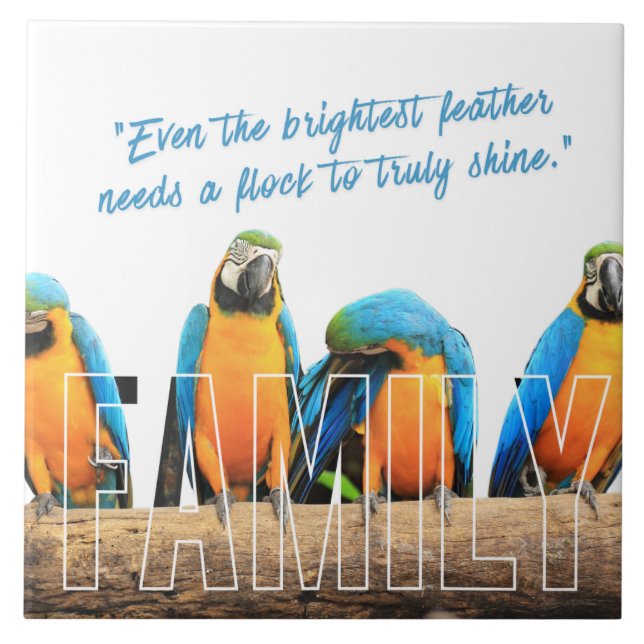 "Together We Shine" (Frente)