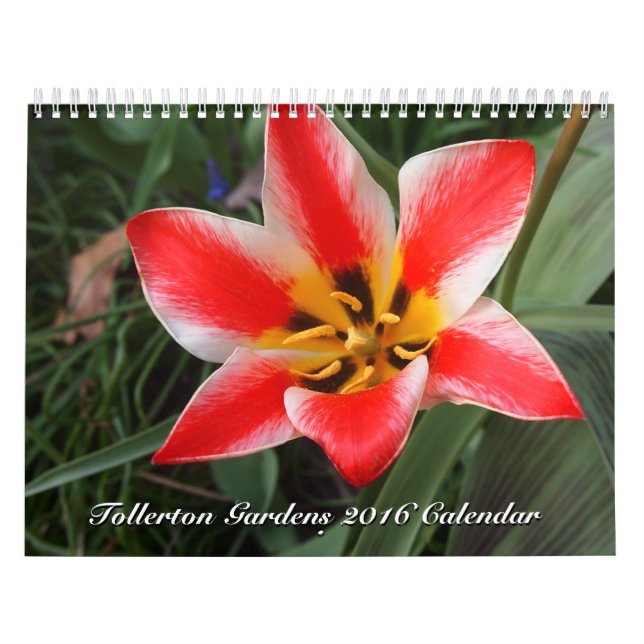 Tollerton jardina o calendário 2016 (Capa)