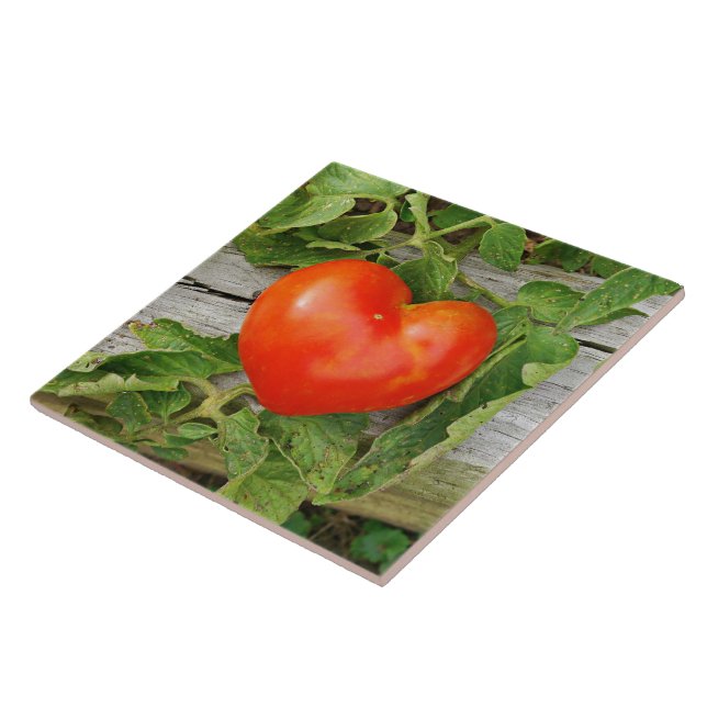 Tomate em Forma de Coração (Lateral)