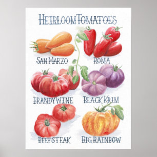 Tomates Art Impressão