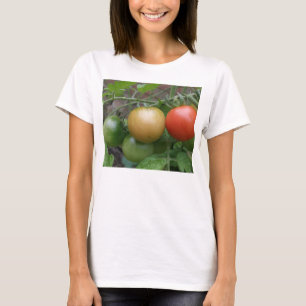 Tomates Luzes Trânsito Damas T Camisa