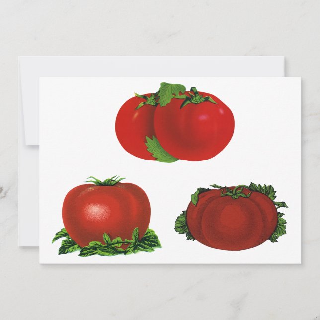 Tomates Vermelhos Maduros Vintage Alimentação, Fru (Frente)