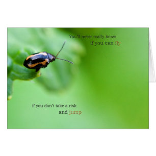 Tome um cartão do risco