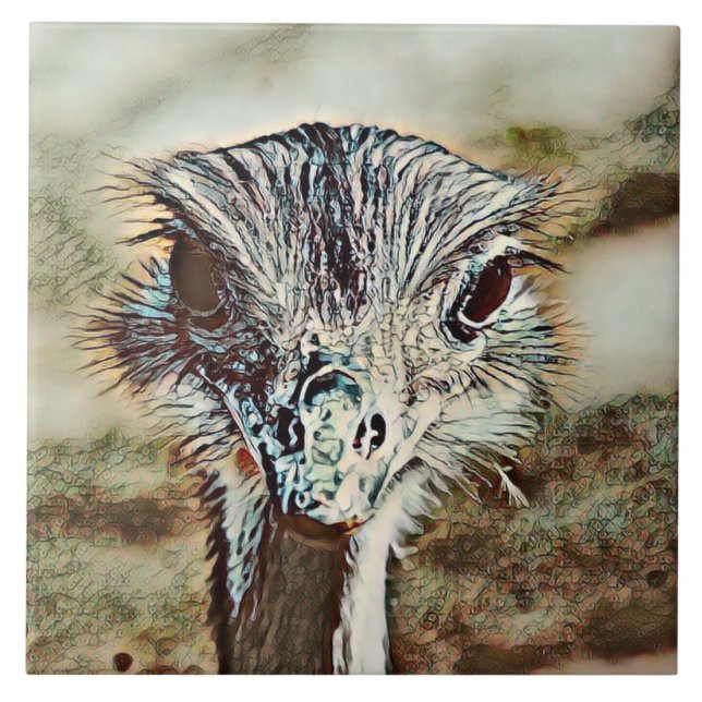 toony ostrich (Frente)