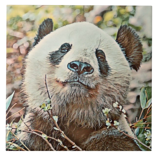toony panda (Frente)