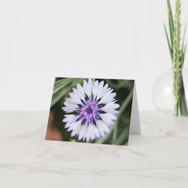 Toque da Natureza - Saudação e Cartões de agradeci (Frente)