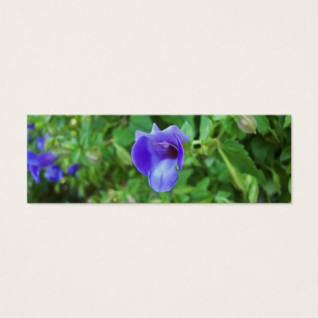 Torenia Bookmark (Frente)