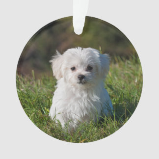 Tornar um Enfeites de natal acrílico - Adicionar P