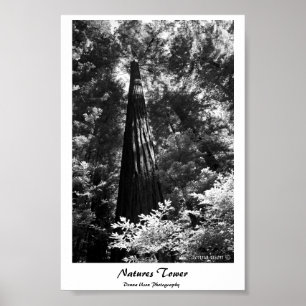 Torre das naturezas do poster