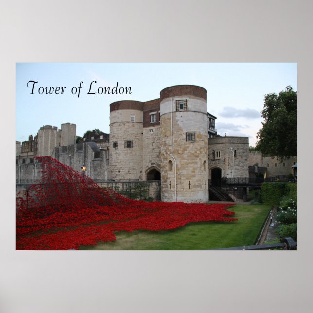 Torre de Londres com papagaios cerâmicos - Poster (Frente)