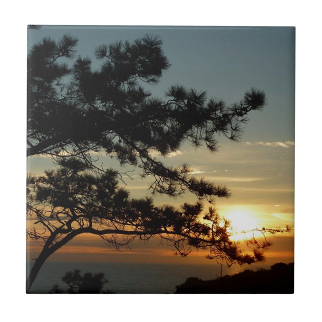 Torrey Pine Sunset I California Landscape (Frente)