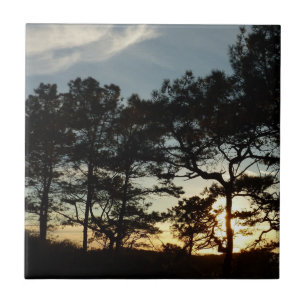 Torrey Pine Sunset II, área da Califórnia