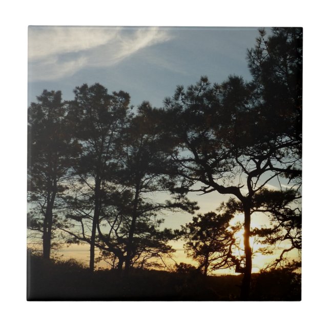 Torrey Pine Sunset II, área da Califórnia (Frente)