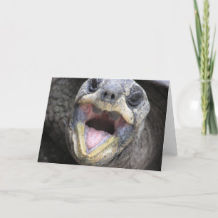 Tortoise Diz Oi! Cartão