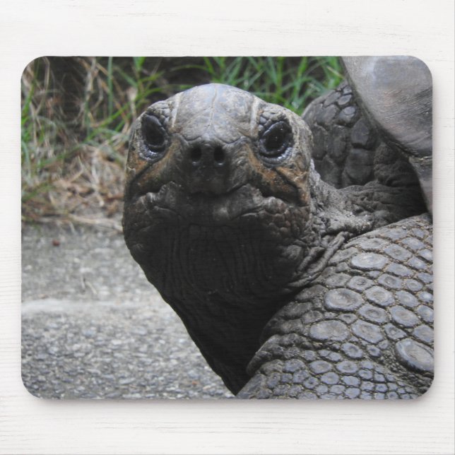 Tortoise Mousepad (Frente)