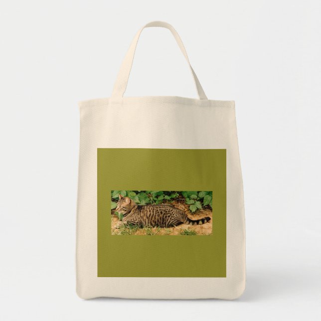 Tote A bolsa de canvas do gato de gato malhado (Frente)