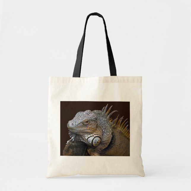Tote Bolsa Pequeno Dragão (Frente)