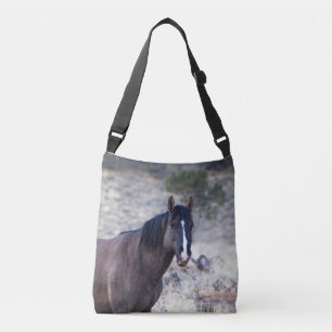 Tote dos Garanhões S Steens