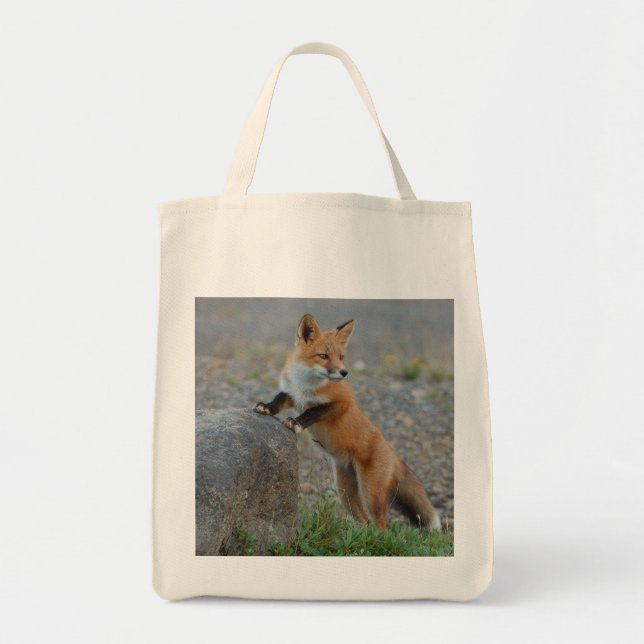 Tote fox o saco, o bolsa da raposa, cliente da raposa, (Frente)